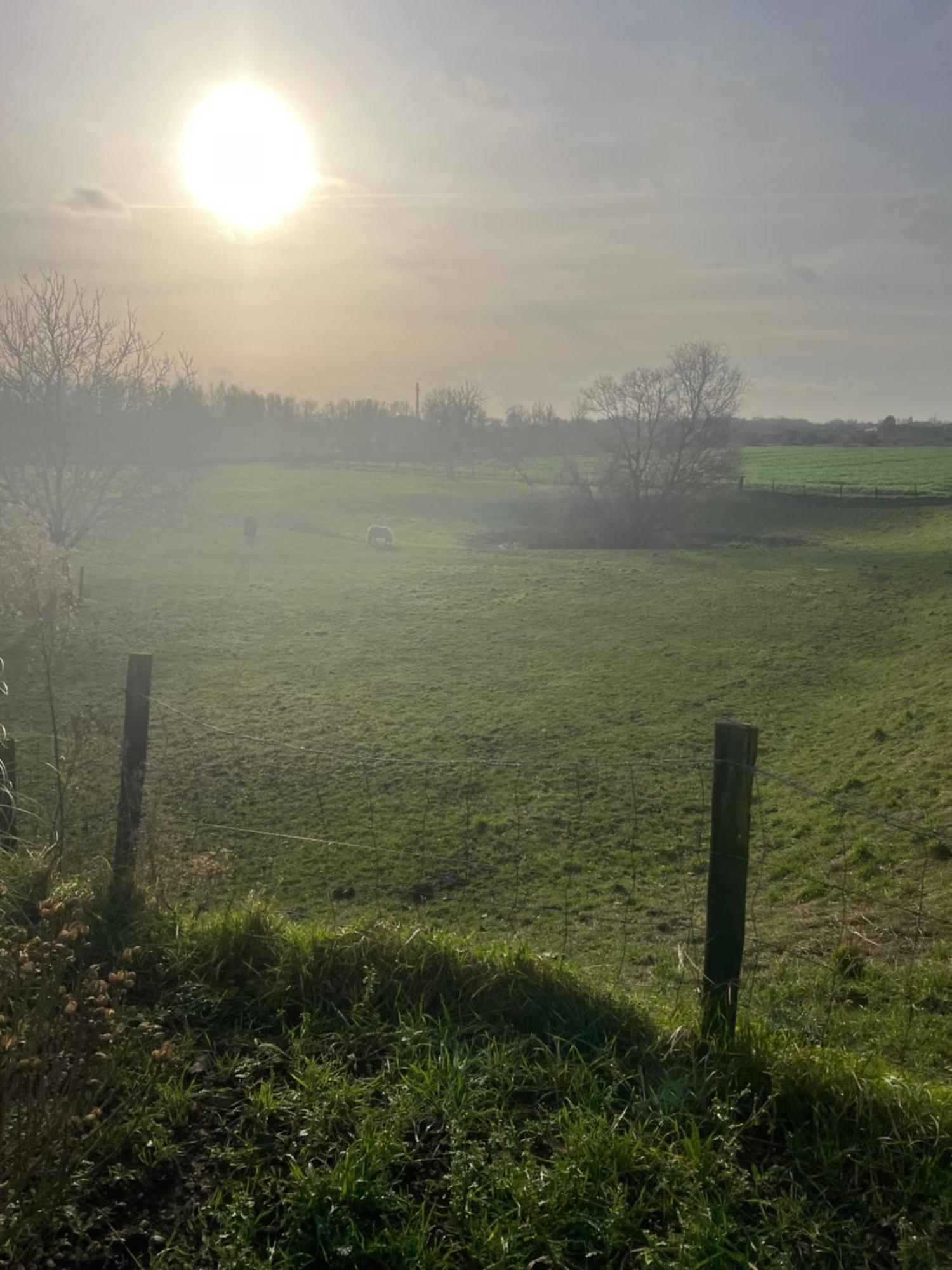 Geniet Van Een Charmante En Rustige Verblijfplaats In Lobith Extérieur photo